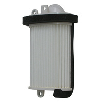 MIW Air Filter - Yamaha Y4209