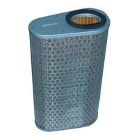 MIW Air Filter