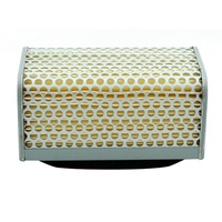 MIW Air Filter
