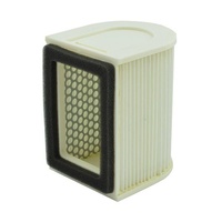 MIW Air Filter