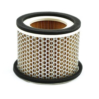 MIW Air Filter