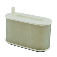 MIW Air Filter