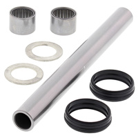 Swing Arm Bearing Kit