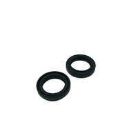 fork Seal Kit