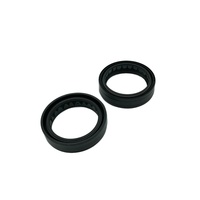 37-47-11  DCY1 -  XRP Fork Seal Kit (169)