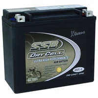 12 Volt SSB Dry Fit High Performance (2) (GTX20L-BS,YIX20L,YTX20HL-BS,YTX20L-BS) (6.86 Kg)