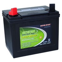 SSB Battery Lead Acid  (8.91 Kg)