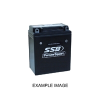 SSB 12V V-Spec Dry Cell AGM Battery 