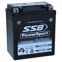 SSB 12V V-Spec Dry Cell AGM 175 CCA Battery 2.4 Kg