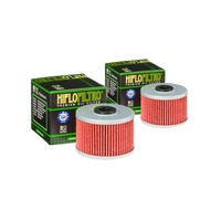 OIL FILTER 2 PACK for Kawasaki KLX250 1990 to 1992 | 2006 to 2007 | 2009 to 2014