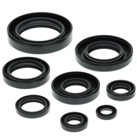 Engine Oil Seal Kit