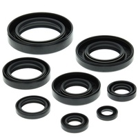 Engine Oil Seal Kit for Honda ATC250R 1985 1986 TRX250R 1986 To 1989