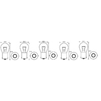 Indicator Light Bulbs | 6V | 18W | Parallel Pin | Set Of Five