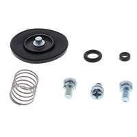 Accel. Pump Rebuild Kit*