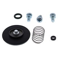 Accel. Pump Rebuild Kit*