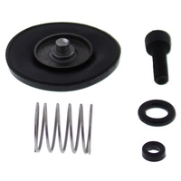 Accel. Pump Rebuild Kit*