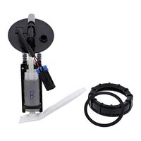FUEL PUMP MODULE - PUMP, FILTER, HOUSING, NUT , GSKT ETC