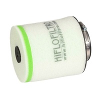 HIFLOFILTRO Air Filter for Honda TRX250EX SPORTRAX (250 Shifter) 2001-2020  