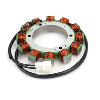 Stator Coil