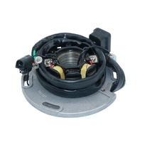 Arrowhead Stator for Suzuki RM125 1989 to 1995
