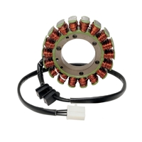 Stator Coil