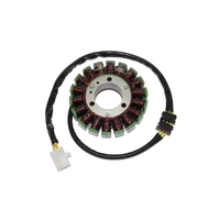 Stator Coil
