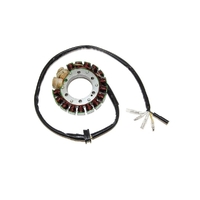 Stator Coil