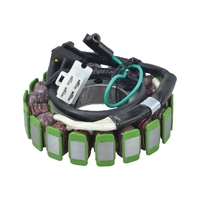 Stator Coil