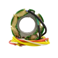 Arrowhead - Stator - Suzuki RM125 96-00