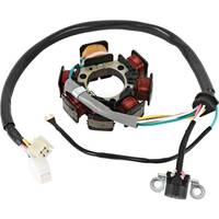 Arrowhead Stator for Yamaha TT-R125L Big Wheel 2003 to 2013