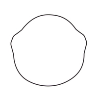 Outer Clutch Cover Gasket Kit