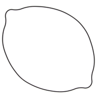 Outer Clutch Cover Gasket Kit