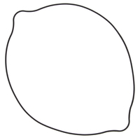 Outer Clutch Cover Gasket Kit
