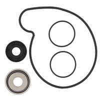 Water Pump Rebuild Kit for Polaris 900 RZR 60 INCH 2015 Vertex 821969