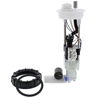 FUEL PUMP MODULE - PUMP, FILTER, HOUSING, NUT, GSKT ETC