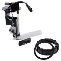 FUEL PUMP MODULE - PUMP, FILTER, HOUSING, NUT, GSKT ETC