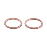 Exhaust Gasket Kit 823009