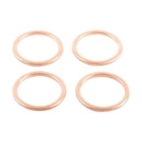Exhaust Gasket Kit 823015