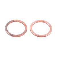 Exhaust Gasket Kit 823019