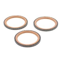 Exhaust Gasket Kit 823027