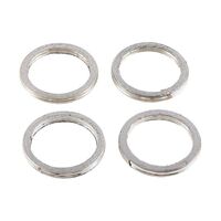 Exhaust Gasket Kit 823029
