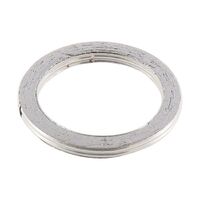 Exhaust Gasket Kit 823064