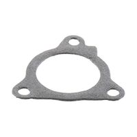 Exhaust Gasket Kit 823095