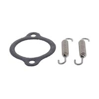 Exhaust Gasket Kit 823120