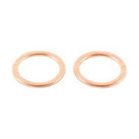 Exhaust Gasket Kit 823134