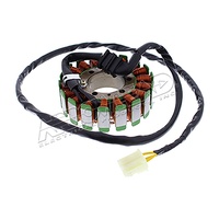Stator Coil