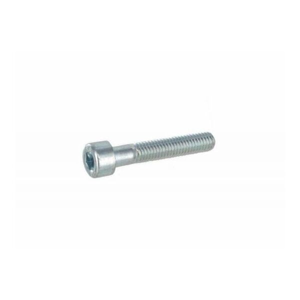 Allen Screws 6 X 30MM (25 Bag)