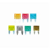 One 10 Amp Mini Blade Fuse