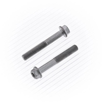 M6x50 Euro Style Flange Bolt (10Pk)