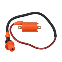 Ignition Coil 2 Wire W Lead & Plug Cap 12V